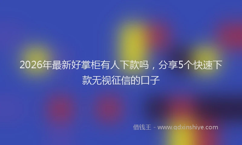 2026年最新好掌柜有人下款吗，分享5个快速下款无视征信的口子