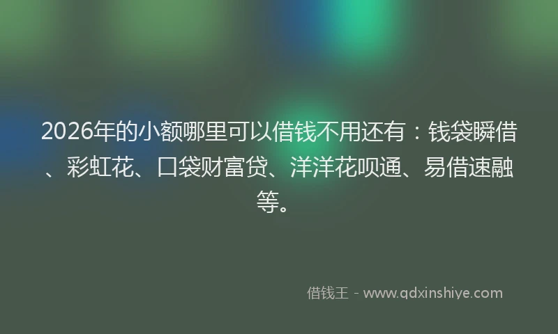2026年的小额哪里可以借钱不用还有:钱袋瞬借、彩虹花、口袋财富贷、洋洋花呗通、易借速融等。