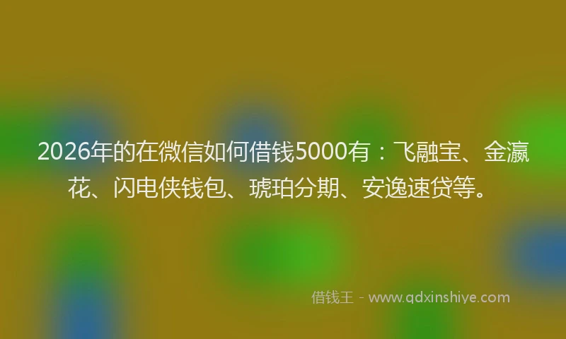 2026年的在微信如何借钱5000有：飞融宝、金瀛花、闪电侠钱包、琥珀分期、安逸速贷等。