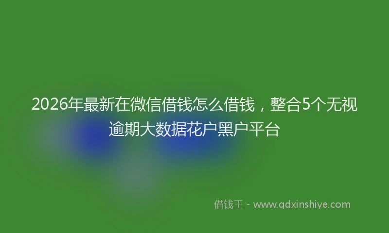 2026年最新在微信借钱怎么借钱，整合5个无视逾期大数据花户黑户平台