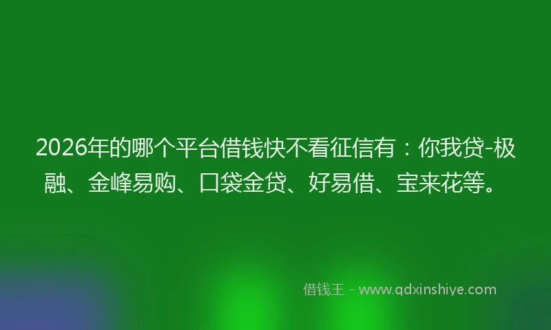 2026年的哪个平台借钱快不看征信有:你我贷-极融、金峰易购、口袋金贷、好易借、宝来花等。