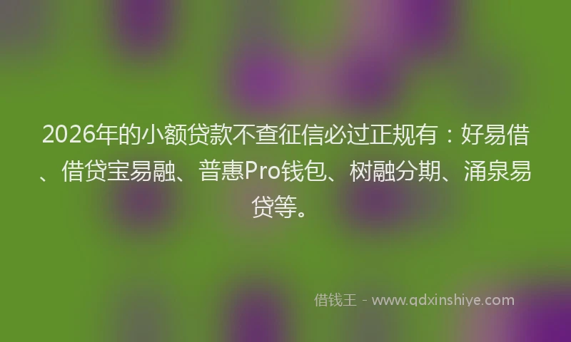 2026年的小额贷款不查征信必过正规有：好易借、借贷宝易融、普惠Pro钱包、树融分期、涌泉易贷等。