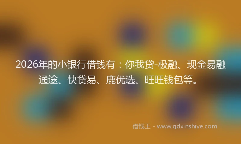 2026年的小银行借钱有：你我贷-极融、现金易融通途、快贷易、鹿优选、旺旺钱包等。