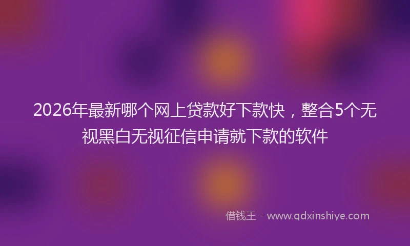 2026年最新哪个网上贷款好下款快，整合5个无视黑白无视征信申请就下款的软件