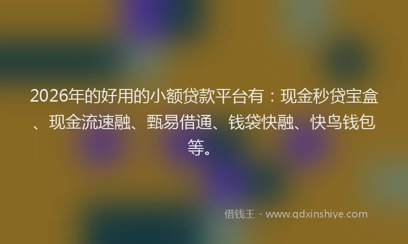 2026年的好用的小额贷款平台有：现金秒贷宝盒、现金流速融、甄易借通、钱袋快融、快鸟钱包等。