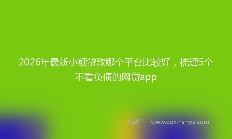 2026年最新小额贷款哪个平台比较好，梳理5个不看负债的网贷app