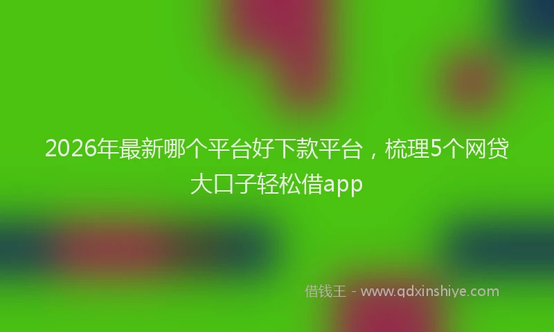 2026年最新哪个平台好下款平台,梳理5个网贷大口子轻松借app