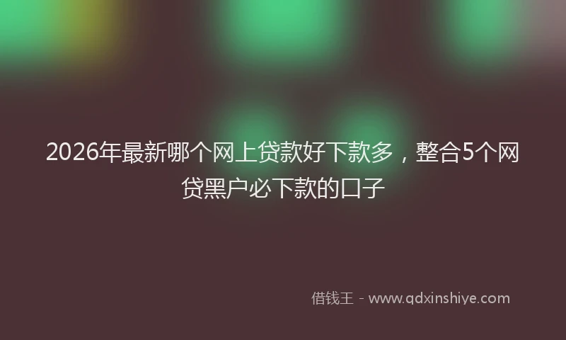 2026年最新哪个网上贷款好下款多，整合5个网贷黑户必下款的口子