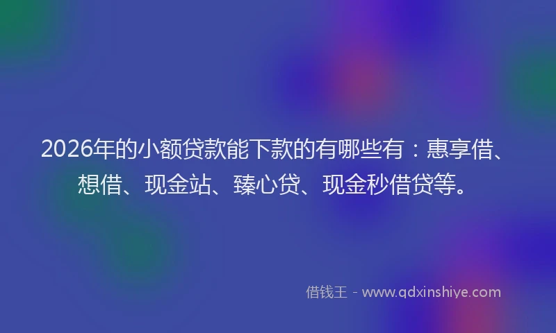 2026年的小额贷款能下款的有哪些有：惠享借、想借、现金站、臻心贷、现金秒借贷等。