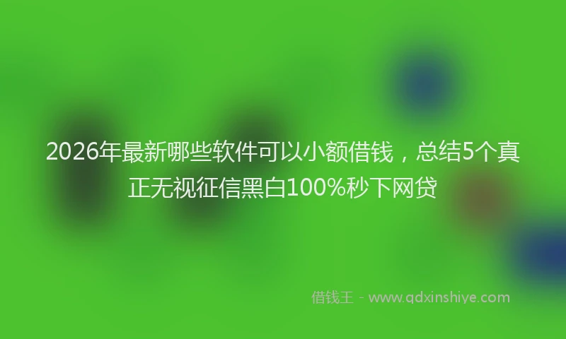 2026年最新哪些软件可以小额借钱，总结5个真正无视征信黑白100%秒下网贷