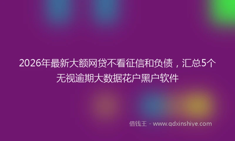2026年最新大额网贷不看征信和负债，汇总5个无视逾期大数据花户黑户软件
