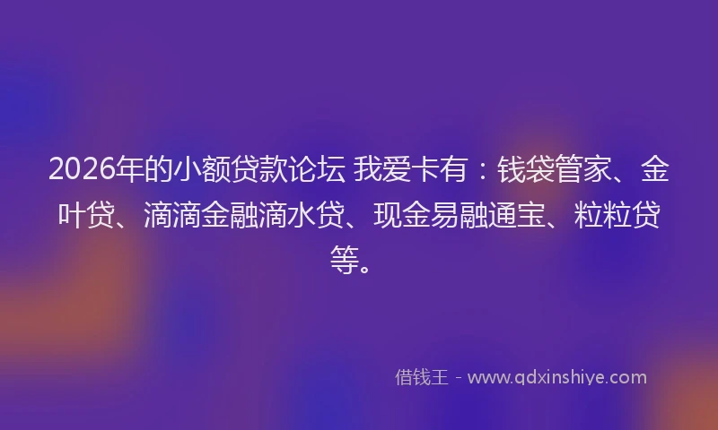 2026年的小额贷款论坛 我爱卡有：钱袋管家、金叶贷、滴滴金融滴水贷、现金易融通宝、粒粒贷等。