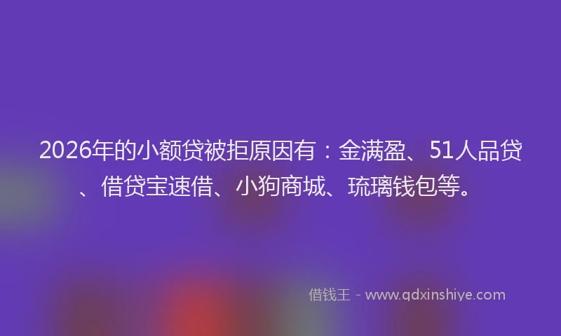 2026年的小额贷被拒原因有：金满盈、51人品贷、借贷宝速借、小狗商城、琉璃钱包等。