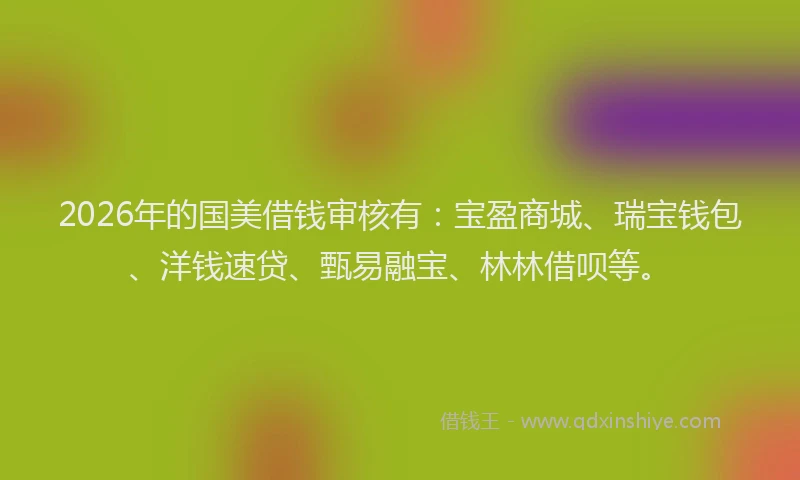 2026年的国美借钱审核有：宝盈商城、瑞宝钱包、洋钱速贷、甄易融宝、林林借呗等。