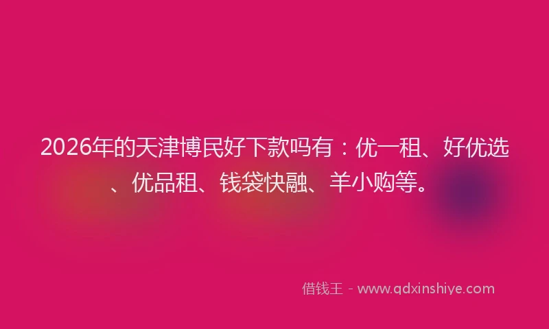 2026年的天津博民好下款吗有：优一租、好优选、优品租、钱袋快融、羊小购等。
