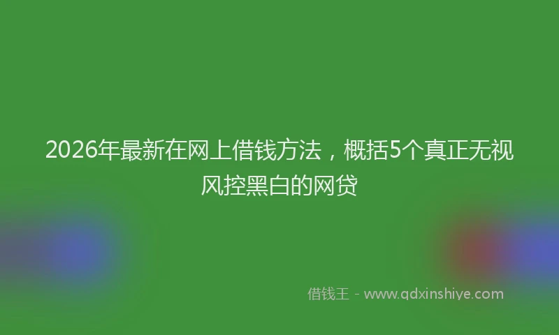 2026年最新在网上借钱方法,概括5个真正无视风控黑白的网贷