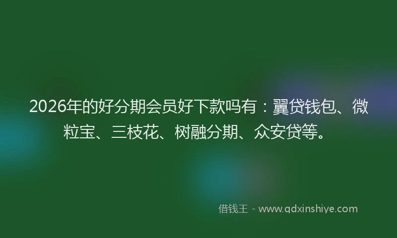 2026年的好分期会员好下款吗有：翼贷钱包、微粒宝、三枝花、树融分期、众安贷等。