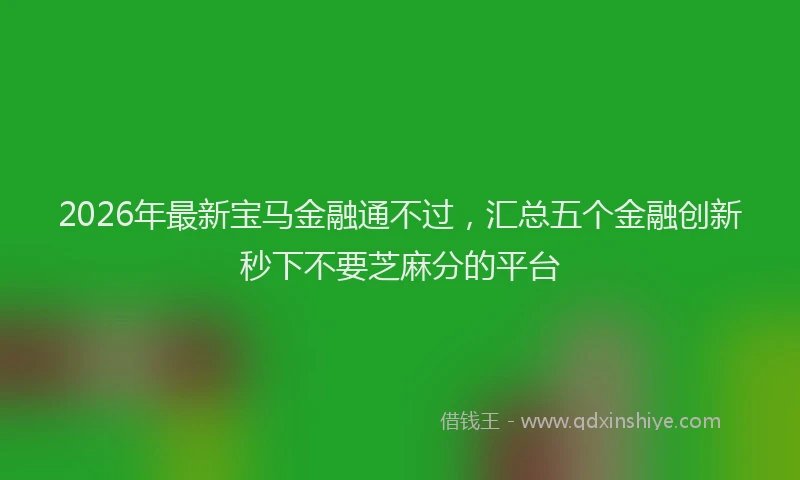 2026年最新宝马金融通不过，汇总五个金融创新秒下不要芝麻分的平台