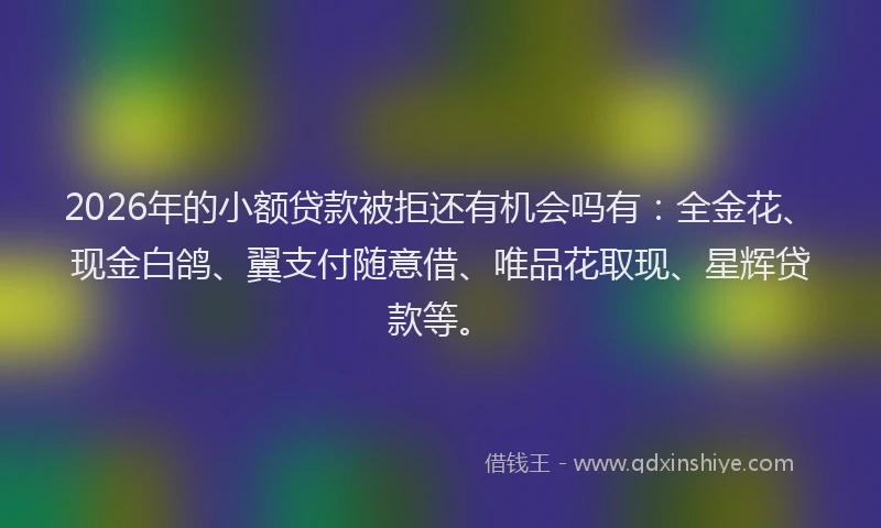 2026年的小额贷款被拒还有机会吗有：全金花、现金白鸽、翼支付随意借、唯品花取现、星辉贷款等。