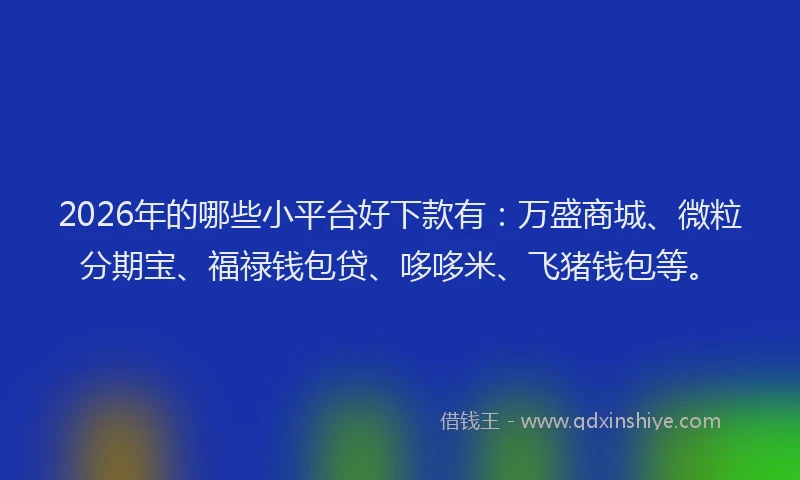 2026年的哪些小平台好下款有：万盛商城、微粒分期宝、福禄钱包贷、哆哆米、飞猪钱包等。