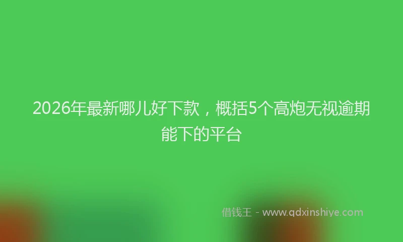 2026年最新哪儿好下款,概括5个高炮无视逾期能下的平台