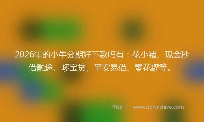 2026年的小牛分期好下款吗有：花小猪、现金秒借融途、哆宝贷、平安易借、零花罐等。