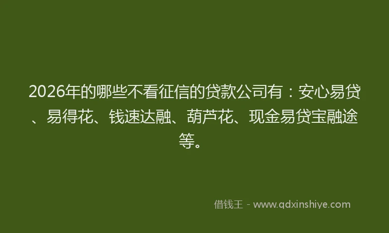 2026年的哪些不看征信的贷款公司有：安心易贷、易得花、钱速达融、葫芦花、现金易贷宝融途等。