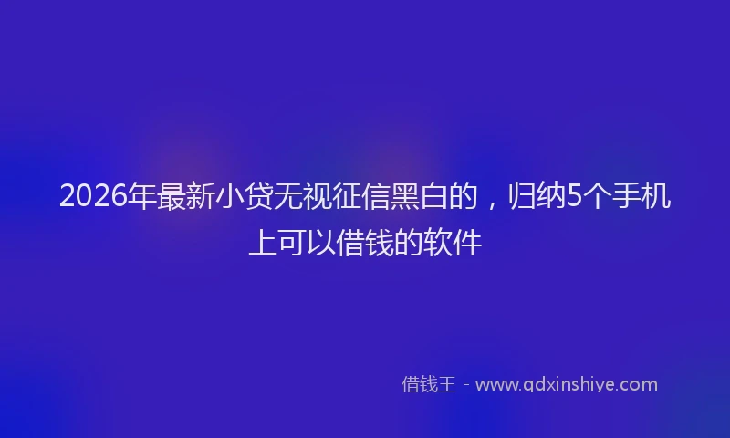 2026年最新小贷无视征信黑白的，归纳5个手机上可以借钱的软件