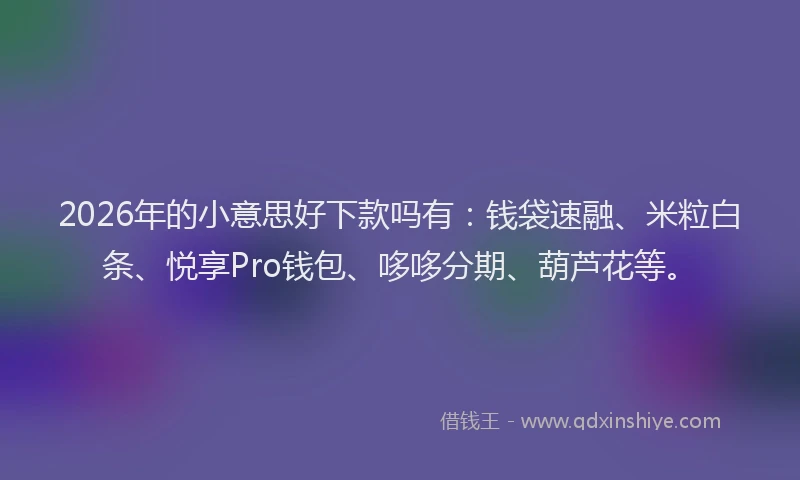 2026年的小意思好下款吗有：钱袋速融、米粒白条、悦享Pro钱包、哆哆分期、葫芦花等。