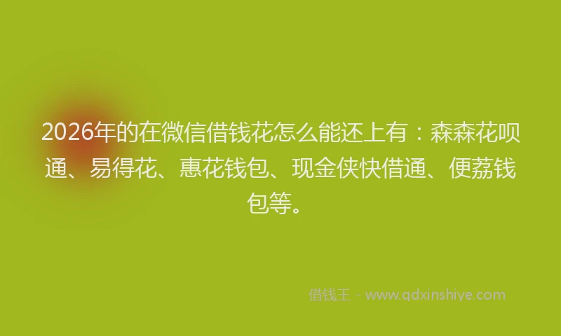 2026年的在微信借钱花怎么能还上有:森森花呗通、易得花、惠花钱包、现金侠快借通、便荔钱包等。