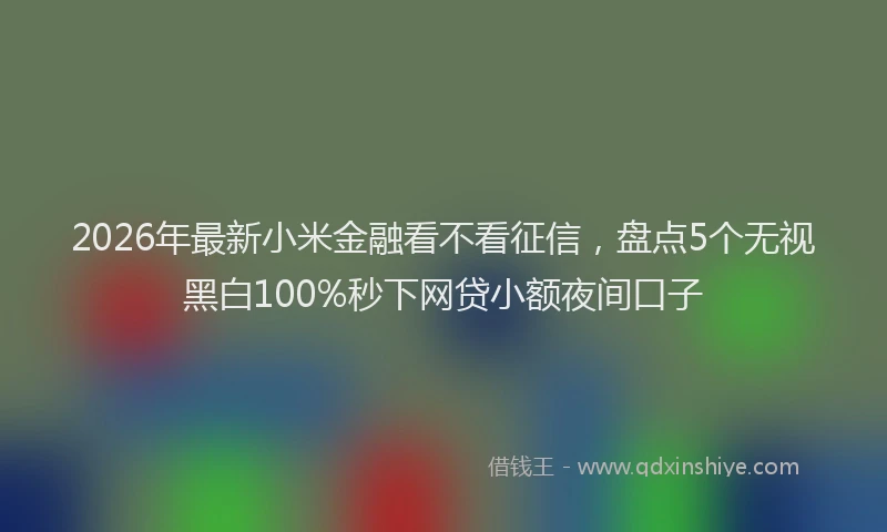 2026年最新小米金融看不看征信，盘点5个无视黑白100%秒下网贷小额夜间口子