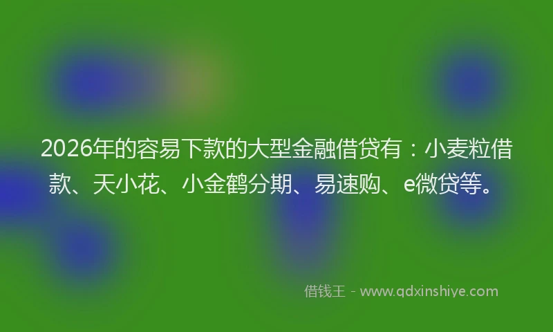 2026年的容易下款的大型金融借贷有：小麦粒借款、天小花、小金鹤分期、易速购、e微贷等。