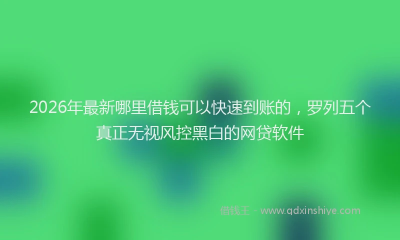 2026年最新哪里借钱可以快速到账的,罗列五个真正无视风控黑白的网贷软件