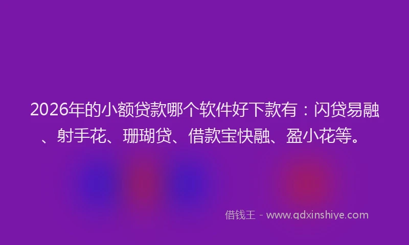 2026年的小额贷款哪个软件好下款有：闪贷易融、射手花、珊瑚贷、借款宝快融、盈小花等。