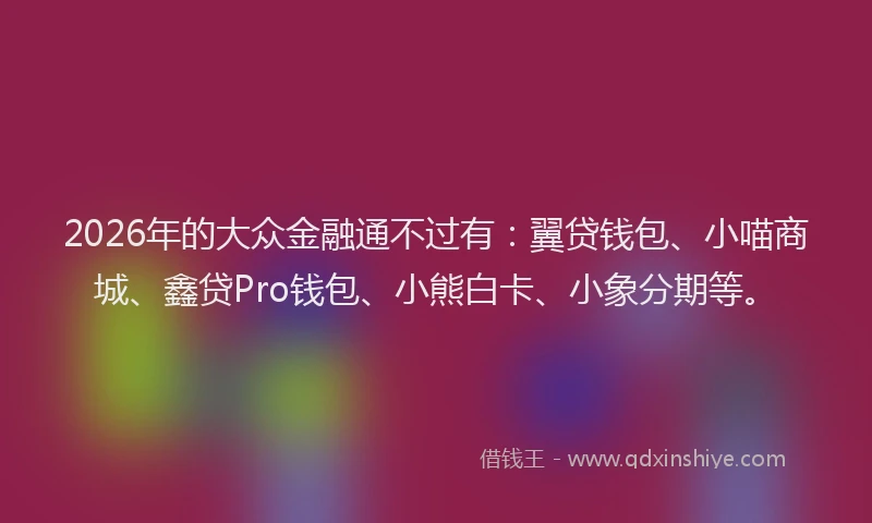 2026年的大众金融通不过有:翼贷钱包、小喵商城、鑫贷Pro钱包、小熊白卡、小象分期等。