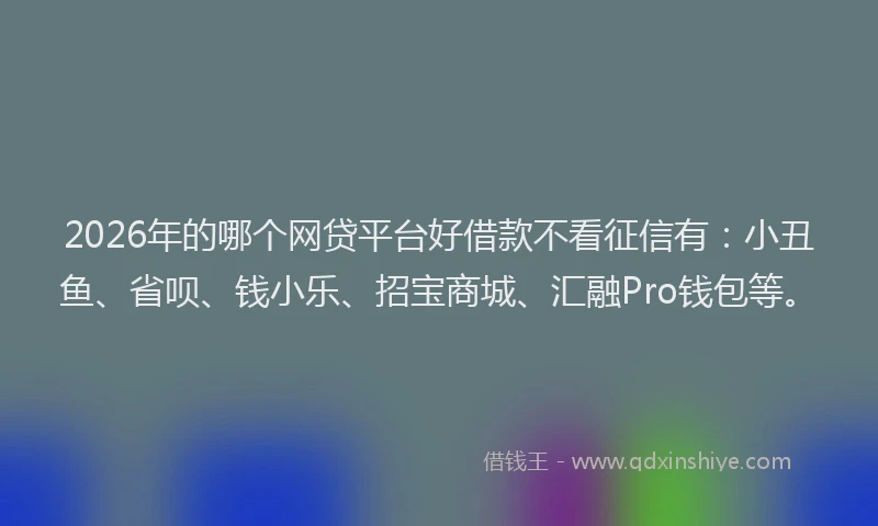 2026年的哪个网贷平台好借款不看征信有：小丑鱼、省呗、钱小乐、招宝商城、汇融Pro钱包等。