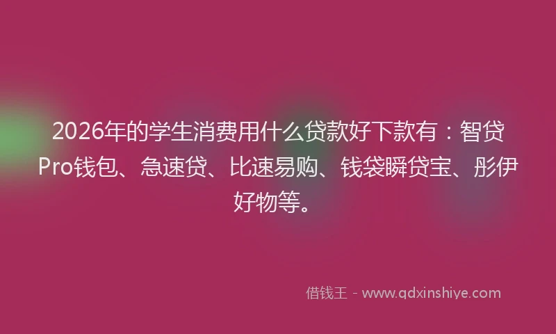 2026年的学生消费用什么贷款好下款有：智贷Pro钱包、急速贷、比速易购、钱袋瞬贷宝、彤伊好物等。