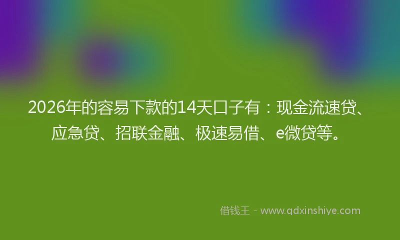 2026年的容易下款的14天口子有：现金流速贷、应急贷、招联金融、极速易借、e微贷等。