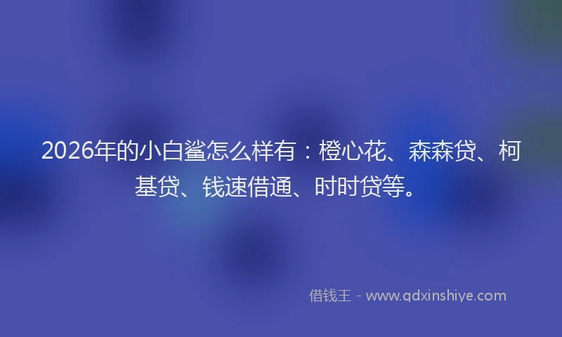 2026年的小白鲨怎么样有：橙心花、森森贷、柯基贷、钱速借通、时时贷等。