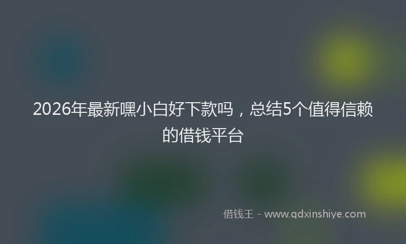 2026年最新嘿小白好下款吗，总结5个值得信赖的借钱平台