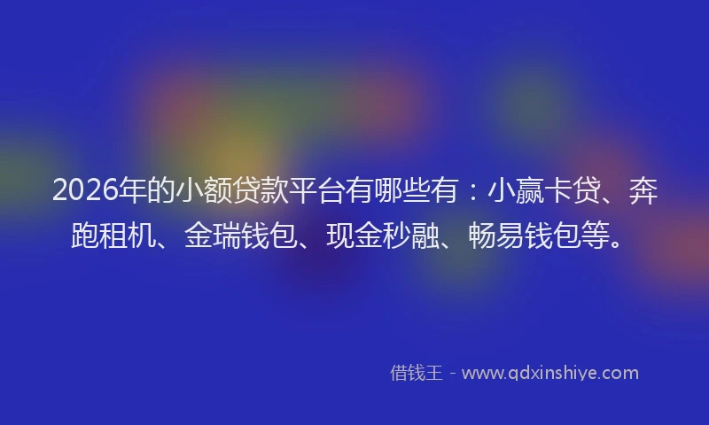 2026年的小额贷款平台有哪些有：小赢卡贷、奔跑租机、金瑞钱包、现金秒融、畅易钱包等。