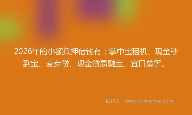 2026年的小额抵押借钱有：掌中宝租机、现金秒到宝、麦芽贷、现金贷易融宝、宜口袋等。