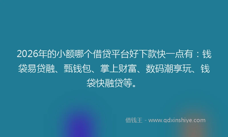 2026年的小额哪个借贷平台好下款快一点有：钱袋易贷融、甄钱包、掌上财富、数码潮享玩、钱袋快融贷等。