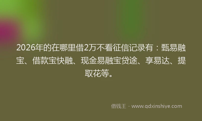 2026年的在哪里借2万不看征信记录有:甄易融宝、借款宝快融、现金易融宝贷途、享易达、提取花等。