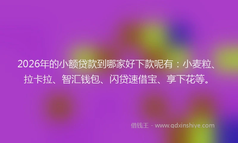 2026年的小额贷款到哪家好下款呢有：小麦粒、拉卡拉、智汇钱包、闪贷速借宝、享下花等。