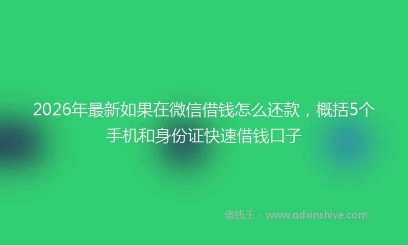 2026年最新如果在微信借钱怎么还款，概括5个手机和身份证快速借钱口子