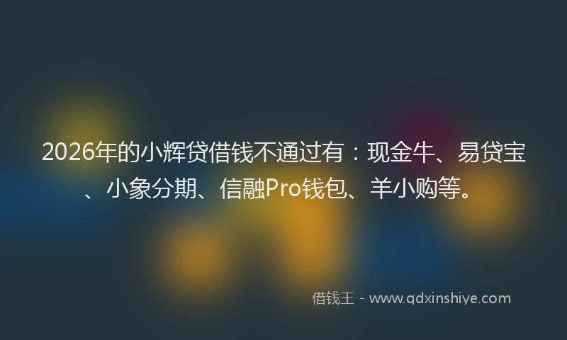 2026年的小辉贷借钱不通过有：现金牛、易贷宝、小象分期、信融Pro钱包、羊小购等。