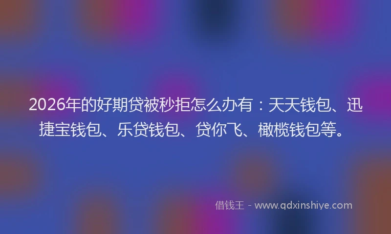 2026年的好期贷被秒拒怎么办有：天天钱包、迅捷宝钱包、乐贷钱包、贷你飞、橄榄钱包等。