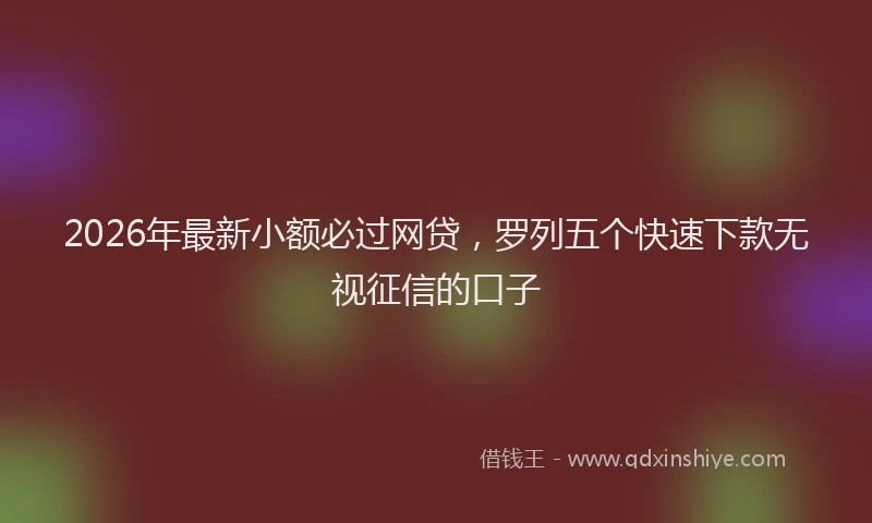 2026年最新小额必过网贷，罗列五个快速下款无视征信的口子