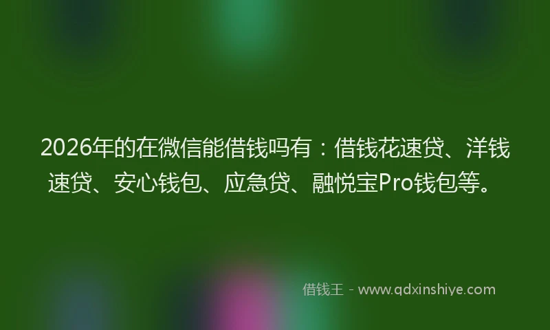 2026年的在微信能借钱吗有：借钱花速贷、洋钱速贷、安心钱包、应急贷、融悦宝Pro钱包等。